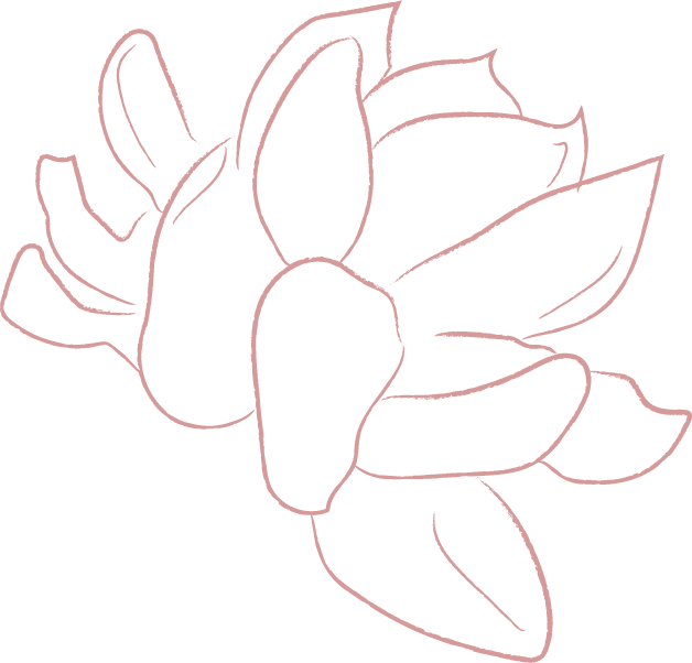 elements-line-drawing-white-jasmine-flower-illustrations-FF57E82-2020-06-29-1.png